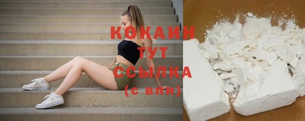 стаф Алексин