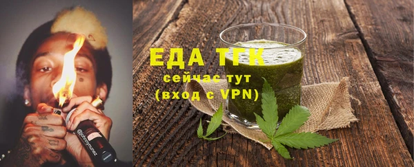 мдпв Инта