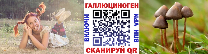 Галлюциногенные грибы Cubensis  Нижний Ломов 